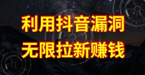 利用抖音链接漏洞,无限拉新赚钱【漏洞原理+操作流程】【揭秘】-玩备项目资源网