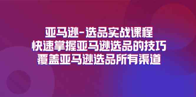亚马逊选品实战课程,快速掌握亚马逊选品的技巧,覆盖亚马逊选品所有渠道-玩备项目资源网