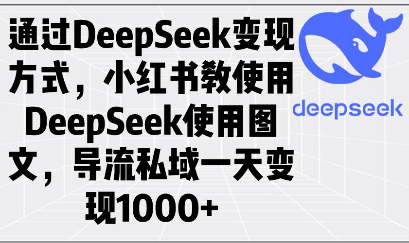 (14179期)通过DeepSeek变现方式,小红书教使用DeepSeek图文,导流私域一天变现1000+-玩备项目资源网