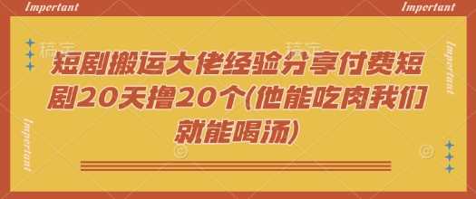 短剧搬运大佬经验分享付费短剧20天撸20个(他能吃肉我们就能喝汤)-玩备项目资源网