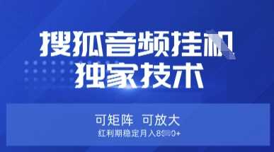 【搜狐音频挂G】独家技术,可矩阵可放大,红利期稳定月入8k【揭秘】-玩备项目资源网