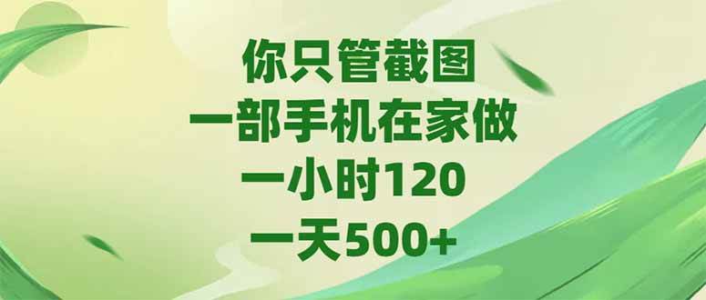 (15039期)你只管截图,一部手机在家做,一小时120,-天500+-玩备项目资源网