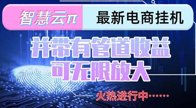(15314期)智慧云π电脑挂机单机每天收益300—500+ 并带有团队管道收益 可无限放大-玩备项目资源网