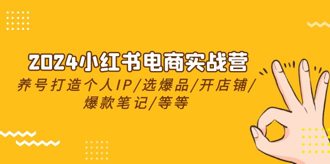 2024小红书电商实战营，养号打造IP/选爆品/开店铺/爆款笔记/等等（24节）-玩备项目资源网