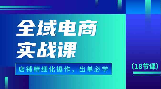 全域电商实战课，个人店铺精细化操作流程，出单必学内容（18节课）-玩备项目资源网