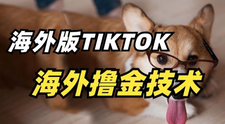 抖音海外版tiktok撸金技术，这个风口行业，赚钱真的不难【揭秘】-玩备项目资源网