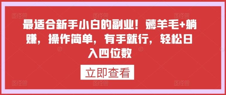 最适合新手小白的副业！薅羊毛+躺赚，操作简单，有手就行，轻松日入四位数【揭秘】-玩备项目资源网