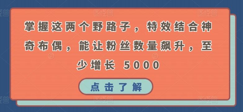 掌握这两个野路子，特效结合神奇布偶，能让粉丝数量飙升，至少增长 5000【揭秘】-玩备项目资源网