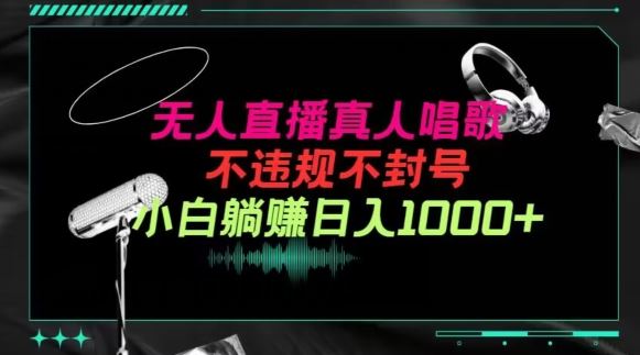 抖音24小时无人直播音乐，不违规，不封号纯撸音浪，小白实操当天日入1000+【揭秘】-玩备项目资源网