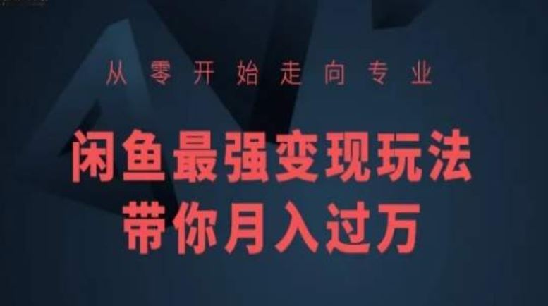 从零开始走向专业，闲鱼最强变现玩法带你月入过万-玩备项目资源网