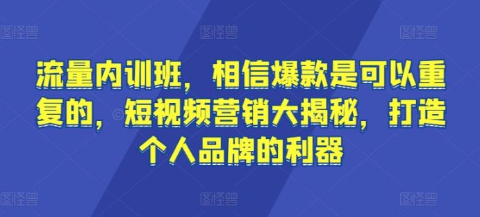 流量内训班，相信爆款是可以重复的，短视频营销大揭秘，打造个人品牌的利器-玩备项目资源网