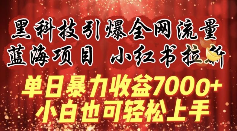蓝海项目!黑科技引爆全网流量小红书拉新，单日暴力收益7000+，小白也能轻松上手【揭秘】-玩备项目资源网