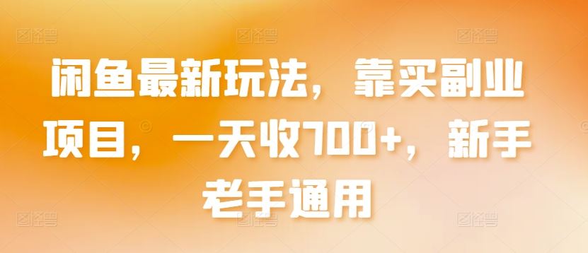 闲鱼最新玩法，靠买副业项目，一天收700+，新手老手通用【揭秘】-玩备项目资源网