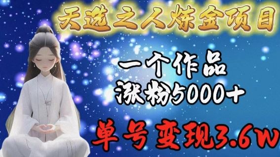 天选之人炼金项目，一个作品涨粉5000+，单号变现3.6w【揭秘】-玩备项目资源网