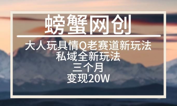 大人玩具情Q用品赛道私域全新玩法，三个月变现20W，老项目新思路【揭秘】-玩备项目资源网