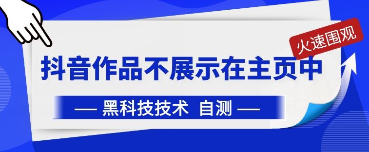 抖音黑科技：抖音作品不展示在主页中【揭秘】-玩备项目资源网
