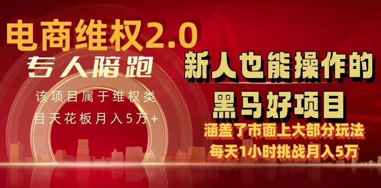 电商维权 4.0 如何做到月入 5 万+每天 1 小时新人也能快速上手【仅揭秘】-玩备项目资源网