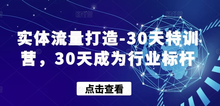 实体流量打造-30天特训营，30天成为行业标杆-玩备项目资源网