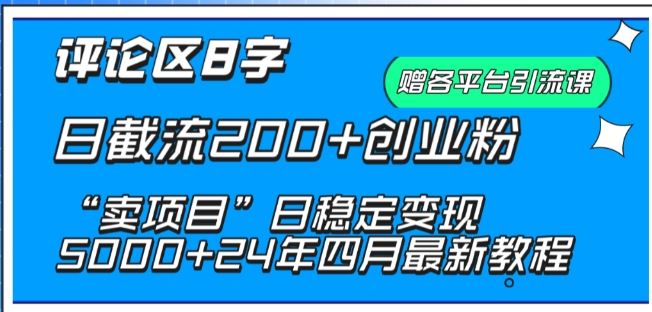 抖音评论区8字日截流200+创业粉 “卖项目”日稳定变现5000+【揭秘】-玩备项目资源网