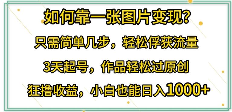 如何靠一张图片变现?只需简单几步，轻松俘获流量，3天起号，作品轻松过原创【揭秘】-玩备项目资源网