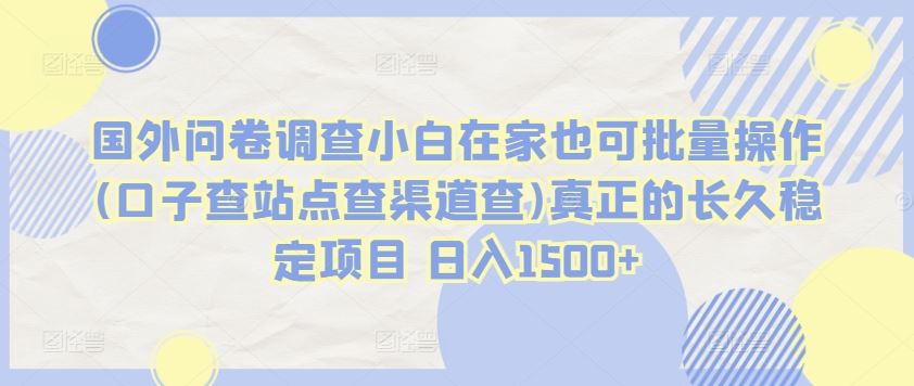 国外问卷调查小白在家也可批量操作(口子查站点查渠道查)真正的长久稳定项目 日入1500+【揭秘】-玩备项目资源网