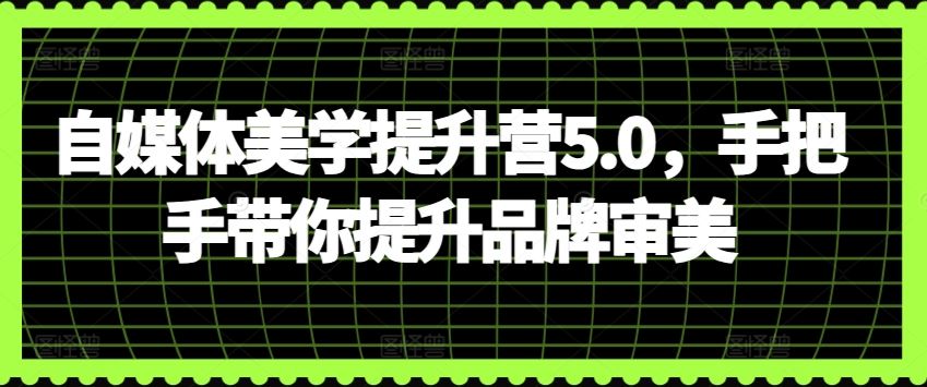 自媒体美学提升营5.0，手把手带你提升品牌审美-玩备项目资源网