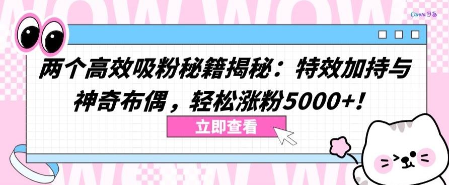 两个高效吸粉秘籍揭秘：特效加持与神奇布偶，轻松涨粉5000+【揭秘】-玩备项目资源网