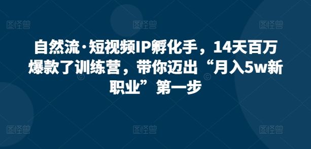 自然流·短视频IP孵化手，14天百万爆款了训练营，带你迈出“月入5w新职业”第一步-玩备项目资源网