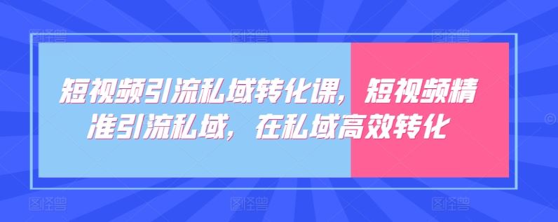短视频引流私域转化课，短视频精准引流私域，在私域高效转化-玩备项目资源网