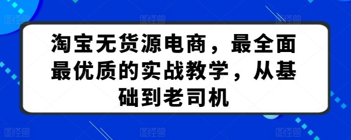 淘宝无货源电商，最全面最优质的实战教学，从基础到老司机-玩备项目资源网