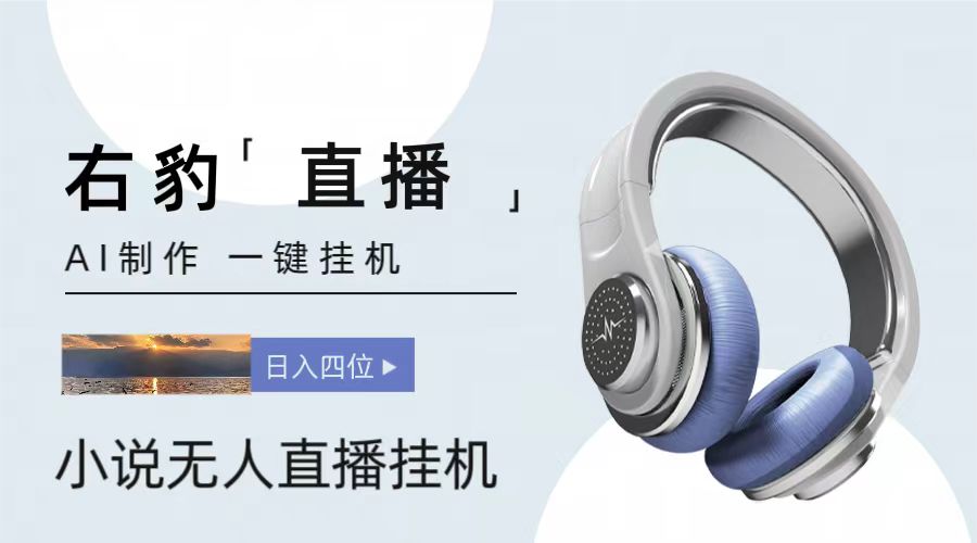 右豹小说无人直播挂机吸金项目，简单易行收益稳定， 月入1000+-玩备项目资源网