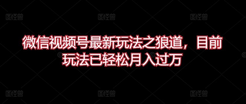 微信视频号最新玩法之狼道，目前玩法已轻松月入过万【揭秘】-玩备项目资源网