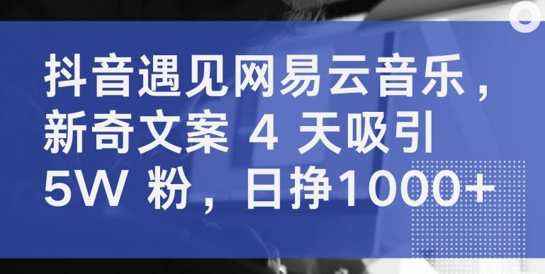 抖音遇见网易云音乐，新奇文案 4 天吸引 5W 粉，日挣1000+【揭秘】-玩备项目资源网