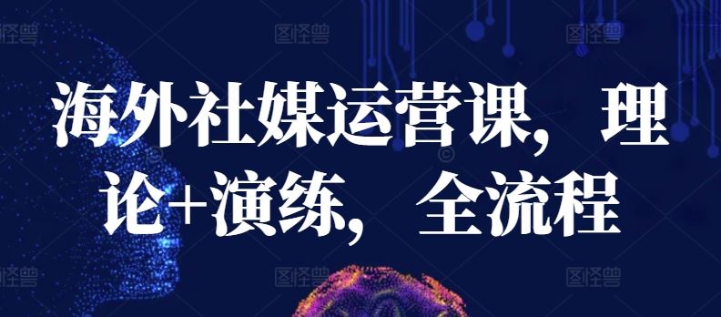 海外社媒运营课，理论+演练，全流程-玩备项目资源网