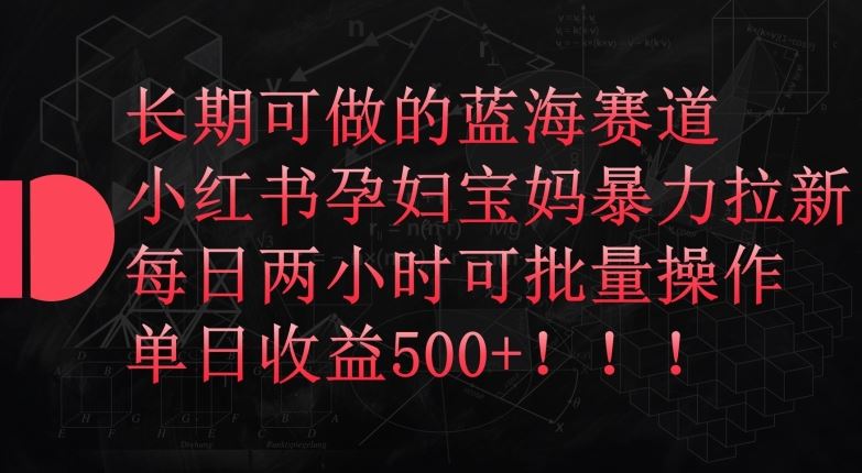 长期可做的蓝海赛道，小红书孕妇宝妈暴力拉新玩法，每日两小时可批量操作，单日收益500+【揭秘】-玩备项目资源网