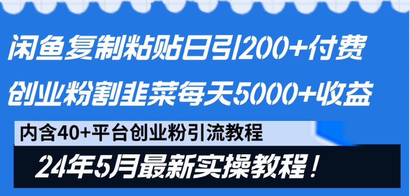 闲鱼复制粘贴日引200+付费创业粉，24年5月最新方法！割韭菜日稳定5000+收益-玩备项目资源网