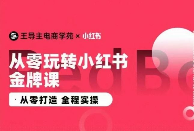 王导主·小红书电商运营实操课，​从零打造  全程实操-玩备项目资源网