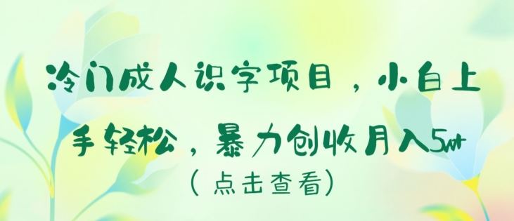 冷门成人识字项目，小白上手轻松，暴力创收月入5w+【揭秘】-玩备项目资源网