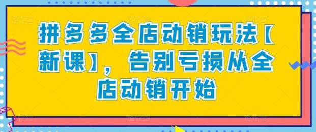 拼多多全店动销玩法【新课】，告别亏损从全店动销开始-玩备项目资源网