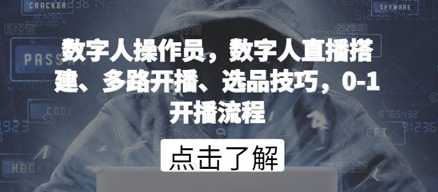 数字人操作员，数字人直播搭建、多路开播、选品技巧，0-1开播流程-玩备项目资源网