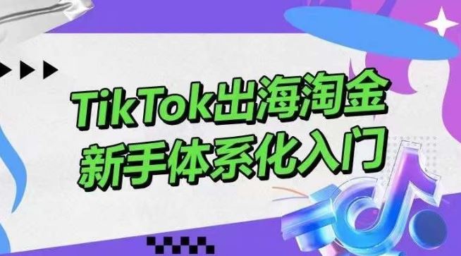TikTok出海淘金，新手体系化入门，零基础快速入门，掌握短视频、直播带货等引流到变现的知识-玩备项目资源网