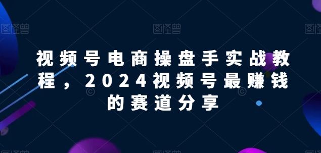 视频号电商实战教程，2024视频号最赚钱的赛道分享-玩备项目资源网