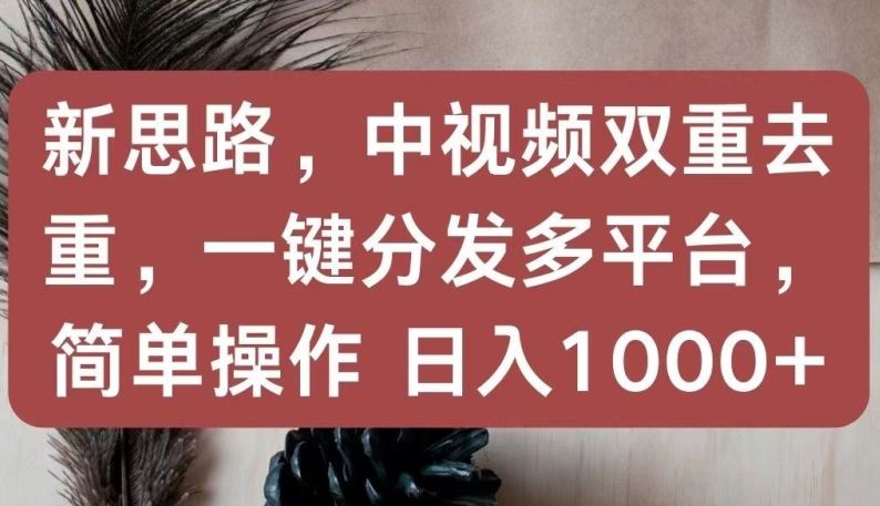 新思路，中视频双重去重，一键分发多平台，简单操作，日入1000+【揭秘】-玩备项目资源网