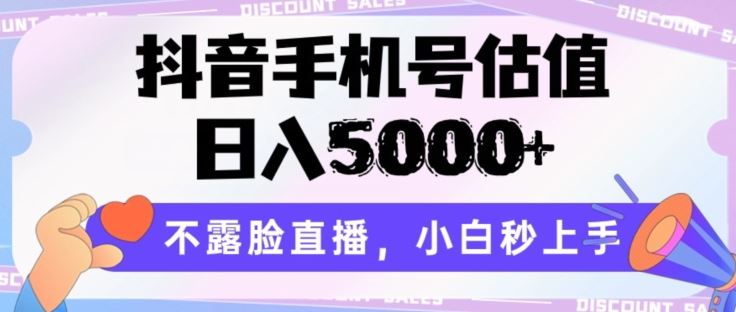 抖音手机号估值，日入5000+，不露脸直播，小白秒上手【揭秘】-玩备项目资源网