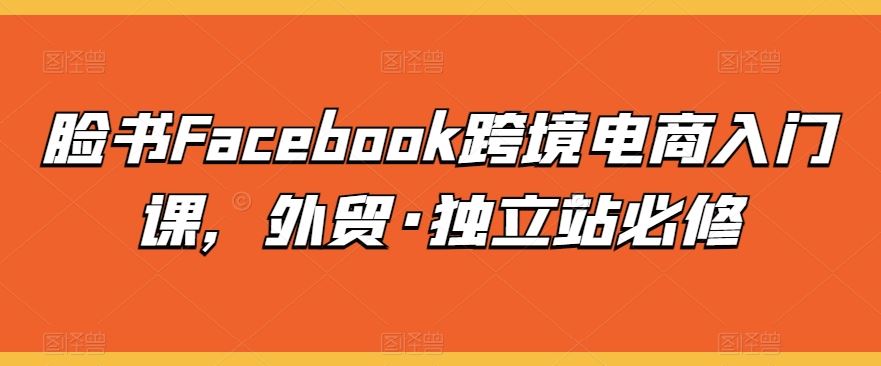 脸书Facebook跨境电商入门课，外贸·独立站必修-玩备项目资源网