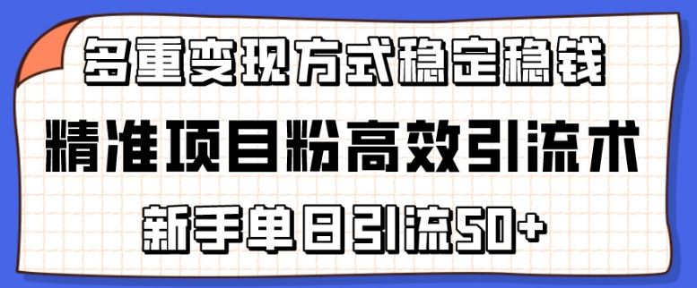 精准项目粉高效引流术，新手单日引流50+，多重变现方式稳定赚钱【揭秘】-玩备项目资源网