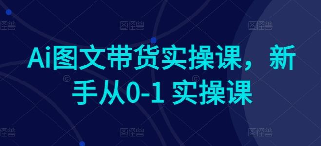 Ai图文带货实操课，新手从0-1 实操课-玩备项目资源网