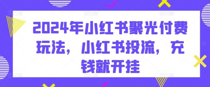 2024年小红书聚光付费玩法，小红书投流，充钱就开挂-玩备项目资源网