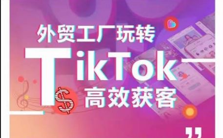 外贸工厂玩转TikTok高效获客，多种引流方式与账号定位技巧，拆解爆款短视频打造成功案例-玩备项目资源网