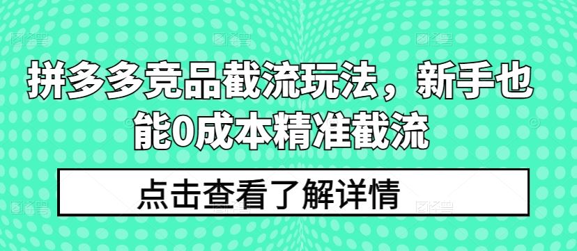拼多多竞品截流玩法，新手也能0成本精准截流-玩备项目资源网
